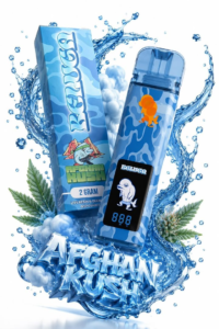 Beluga 3G Disposable Review